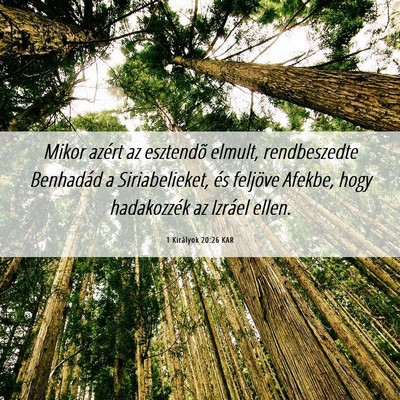 Picture 06 - 1 Királyok 20:26 KAR - Mikor azért az esztendõ elmult, rendbeszedte - Bible Verse Picture