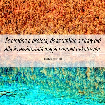 Picture 06 - 1 Királyok 20:38 KAR - És elméne a próféta, és az útfélen a - Bible Verse Picture