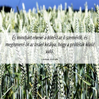 Picture 06 - 1 Királyok 20:41 KAR - És mindjárt elvevé a kötést az õ - Bible Verse Picture