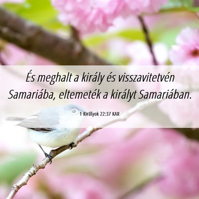Picture 06 - 1 Királyok 22:37 KAR - És meghalt a király és visszavitetvén - Bible Verse Picture