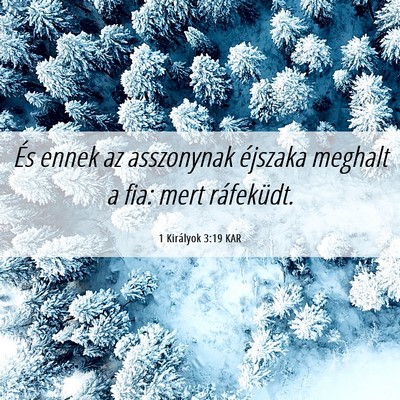 Picture 06 - 1 Királyok 3:19 KAR - És ennek az asszonynak éjszaka meghalt a fia: - Bible Verse Picture