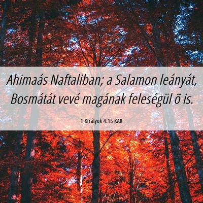 Picture 06 - 1 Királyok 4:15 KAR - Ahimaás Naftaliban; a Salamon leányát, - Bible Verse Picture