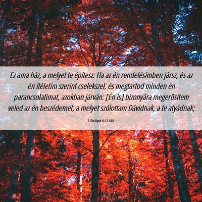 Picture 06 - 1 Királyok 6:12 KAR - Ez ama ház, a melyet te építesz: Ha az én - Bible Verse Picture