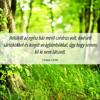 Picture 06 - 1 Királyok 6:18 KAR - Belülrõl az egész ház merõ czédrus volt, - Bible Verse Picture