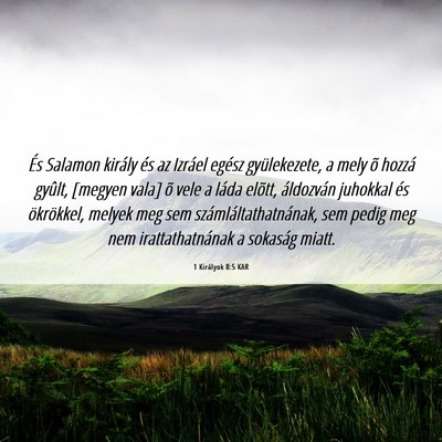 Picture 06 - 1 Királyok 8:5 KAR - És Salamon király és az Izráel egész - Bible Verse Picture