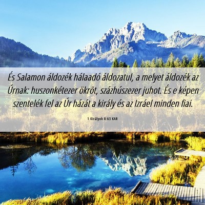 Picture 06 - 1 Királyok 8:63 KAR - És Salamon áldozék hálaadó áldozatul, a - Bible Verse Picture