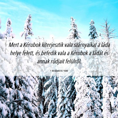 Picture 06 - 1 Királyok 8:7 KAR - Mert a Kérubok kiterjesztik vala szárnyaikat a - Bible Verse Picture