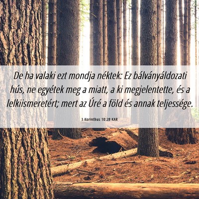 Picture 06 - 1 Korinthus 10:28 KAR - De ha valaki ezt mondja néktek: Ez - Bible Verse Picture