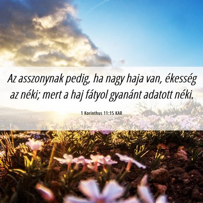 Picture 06 - 1 Korinthus 11:15 KAR - Az asszonynak pedig, ha nagy haja van, ékesség - Bible Verse Picture