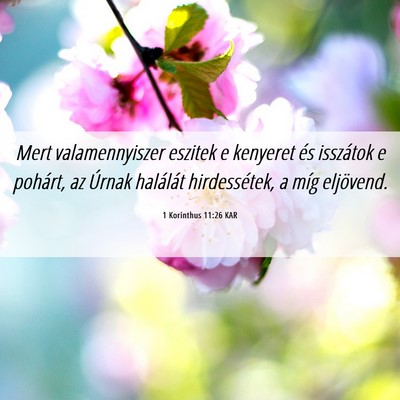Picture 06 - 1 Korinthus 11:26 KAR - Mert valamennyiszer eszitek e kenyeret és - Bible Verse Picture