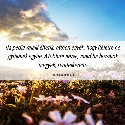 Picture 06 - 1 Korinthus 11:34 KAR - Ha pedig valaki éhezik, otthon egyék, hogy - Bible Verse Picture