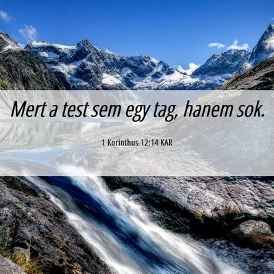 Picture 06 - 1 Korinthus 12:14 KAR - Mert a test sem egy tag, hanem - Bible Verse Picture