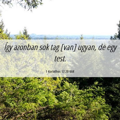 Picture 06 - 1 Korinthus 12:20 KAR - Így azonban sok tag [van] ugyan, de egy - Bible Verse Picture