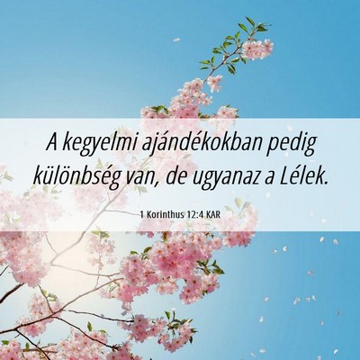 Picture 06 - 1 Korinthus 12:4 KAR - A kegyelmi ajándékokban pedig különbség van, - Bible Verse Picture