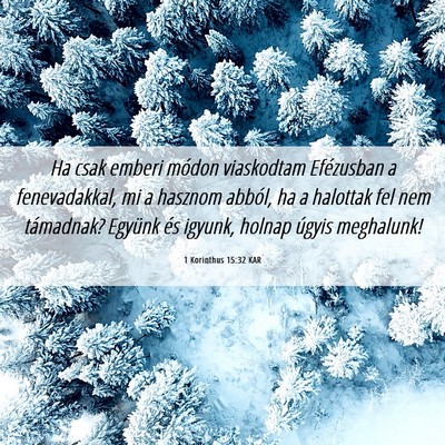 Picture 06 - 1 Korinthus 15:32 KAR - Ha csak emberi módon viaskodtam Efézusban a - Bible Verse Picture