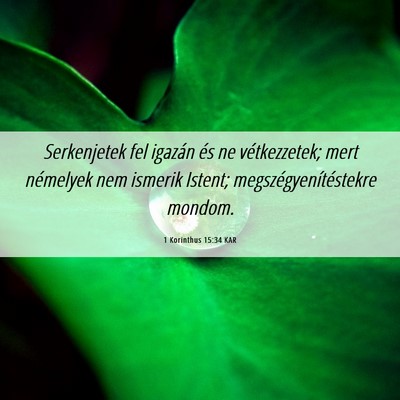 Picture 06 - 1 Korinthus 15:34 KAR - Serkenjetek fel igazán és ne vétkezzetek; mert - Bible Verse Picture