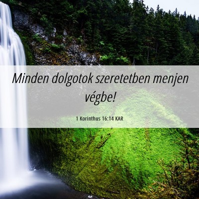 Picture 06 - 1 Korinthus 16:14 KAR - Minden dolgotok szeretetben menjen - Bible Verse Picture
