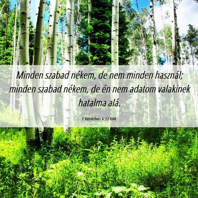 Picture 06 - 1 Korinthus 6:12 KAR - Minden szabad nékem, de nem minden használ; - Bible Verse Picture