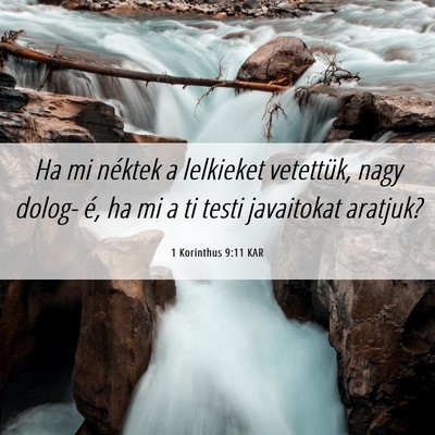 Picture 06 - 1 Korinthus 9:11 KAR - Ha mi néktek a lelkieket vetettük, nagy dolog- - Bible Verse Picture