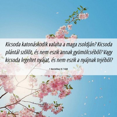 Picture 06 - 1 Korinthus 9:7 KAR - Kicsoda katonáskodik valaha a maga zsoldján? - Bible Verse Picture