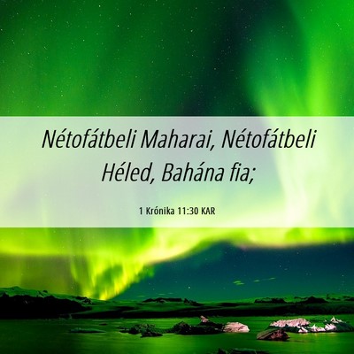 Picture 06 - 1 Krónika 11:30 KAR - Nétofátbeli Maharai, Nétofátbeli Héled, - Bible Verse Picture