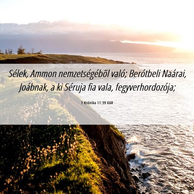 Picture 06 - 1 Krónika 11:39 KAR - Sélek, Ammon nemzetségébõl való; Berótbeli - Bible Verse Picture
