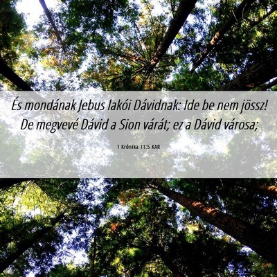 Picture 06 - 1 Krónika 11:5 KAR - És mondának Jebus lakói Dávidnak: Ide be nem - Bible Verse Picture