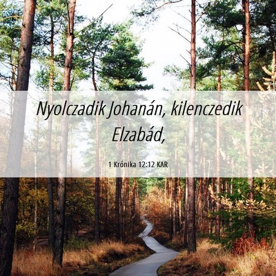 Picture 06 - 1 Krónika 12:12 KAR - Nyolczadik Johanán, kilenczedik - Bible Verse Picture