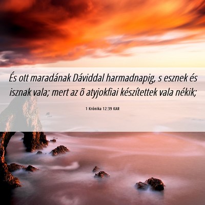 Picture 06 - 1 Krónika 12:39 KAR - És ott maradának Dáviddal harmadnapig, s - Bible Verse Picture