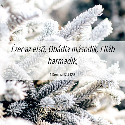 Picture 06 - 1 Krónika 12:9 KAR - Ézer az elsõ, Obádia második, Eliáb - Bible Verse Picture