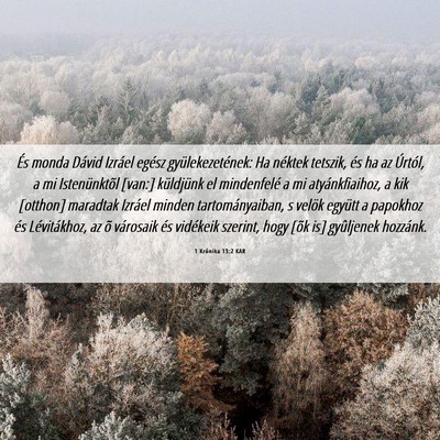 Picture 06 - 1 Krónika 13:2 KAR - És monda Dávid Izráel egész gyülekezetének: - Bible Verse Picture
