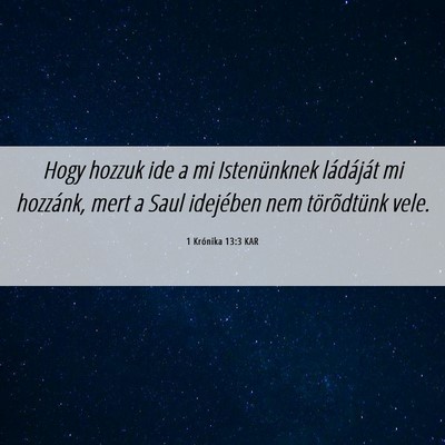 Picture 06 - 1 Krónika 13:3 KAR - Hogy hozzuk ide a mi Istenünknek ládáját mi - Bible Verse Picture