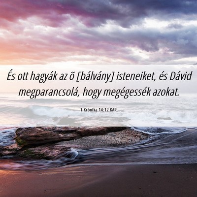 Picture 06 - 1 Krónika 14:12 KAR - És ott hagyák az õ [bálvány] isteneiket, és - Bible Verse Picture