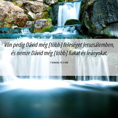 Picture 06 - 1 Krónika 14:3 KAR - Võn pedig Dávid még [több] feleséget - Bible Verse Picture