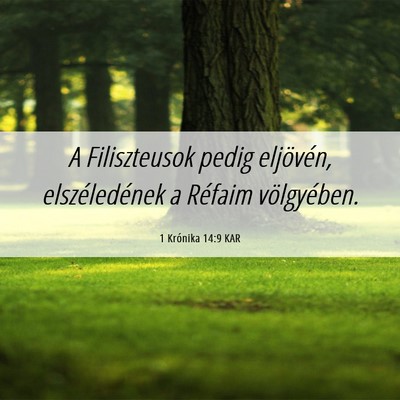Picture 06 - 1 Krónika 14:9 KAR - A Filiszteusok pedig eljövén, elszéledének a - Bible Verse Picture