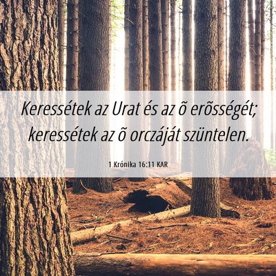 Picture 06 - 1 Krónika 16:11 KAR - Keressétek az Urat és az õ erõsségét; - Bible Verse Picture