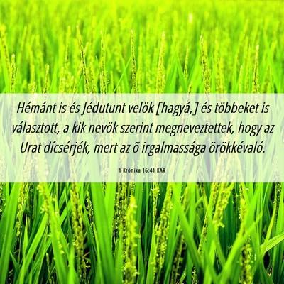 Picture 06 - 1 Krónika 16:41 KAR - Hémánt is és Jédutunt velök [hagyá,] és - Bible Verse Picture