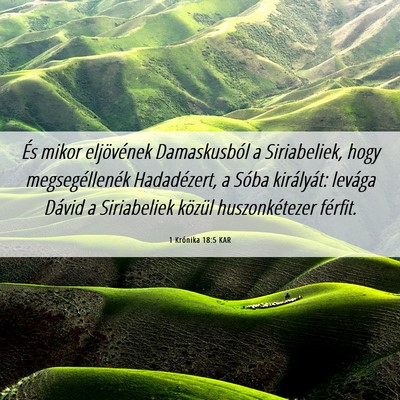 Picture 06 - 1 Krónika 18:5 KAR - És mikor eljövének Damaskusból a Siriabeliek, - Bible Verse Picture