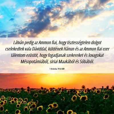 Picture 06 - 1 Krónika 19:6 KAR - Látván pedig az Ammon fiai, hogy - Bible Verse Picture