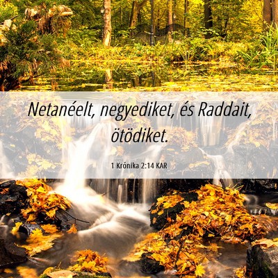 Picture 06 - 1 Krónika 2:14 KAR - Netanéelt, negyediket, és Raddait, - Bible Verse Picture