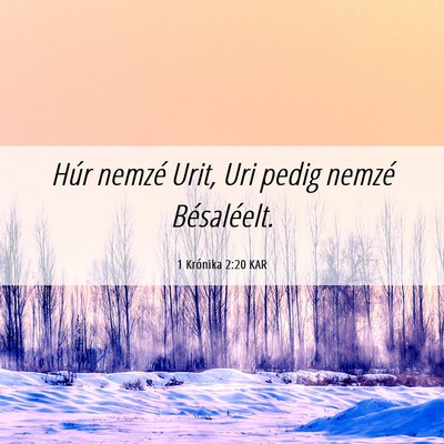 Picture 06 - 1 Krónika 2:20 KAR - Húr nemzé Urit, Uri pedig nemzé - Bible Verse Picture
