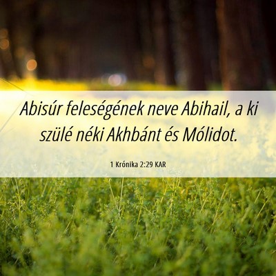 Picture 06 - 1 Krónika 2:29 KAR - Abisúr feleségének neve Abihail, a ki szülé - Bible Verse Picture