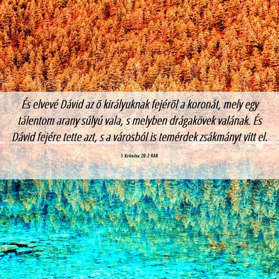 Picture 06 - 1 Krónika 20:2 KAR - És elvevé Dávid az õ királyuknak fejérõl a - Bible Verse Picture