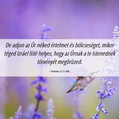 Picture 06 - 1 Krónika 22:12 KAR - De adjon az Úr néked értelmet és - Bible Verse Picture