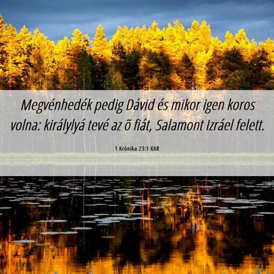 Picture 06 - 1 Krónika 23:1 KAR - Megvénhedék pedig Dávid és mikor igen koros - Bible Verse Picture
