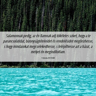 Picture 06 - 1 Krónika 29:19 KAR - Salamonnak pedig, az én fiamnak adj tökéletes - Bible Verse Picture