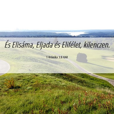 Picture 06 - 1 Krónika 3:8 KAR - És Elisáma, Eljada és Elifélet, - Bible Verse Picture