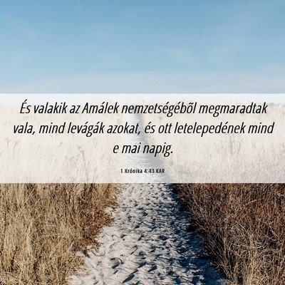 Picture 06 - 1 Krónika 4:43 KAR - És valakik az Amálek nemzetségébõl - Bible Verse Picture