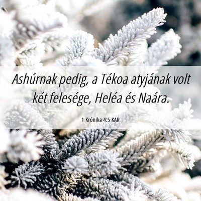 Picture 06 - 1 Krónika 4:5 KAR - Ashúrnak pedig, a Tékoa atyjának volt két - Bible Verse Picture