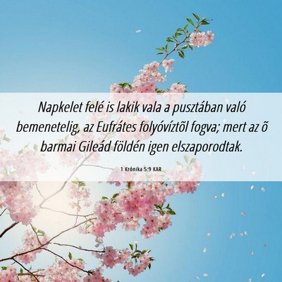 Picture 06 - 1 Krónika 5:9 KAR - Napkelet felé is lakik vala a pusztában való - Bible Verse Picture